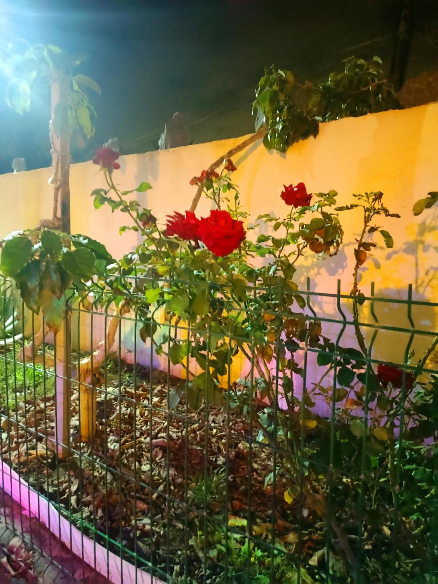 Apartamento Casa Cristal Arona  Exterior foto
